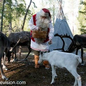 Meet your Posher, Judi